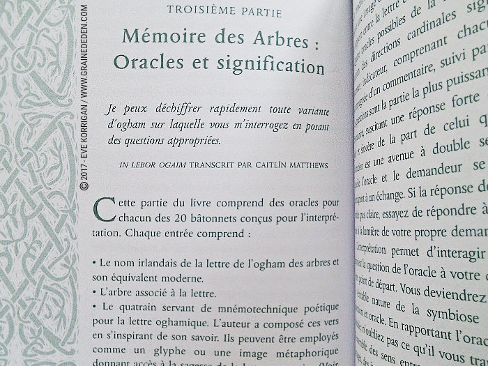 Bâtonnets Celtiques de Sagesse - Oracle Ogham de Caitlin Matthews - Graine d'Eden Développement personnel, spiritualité, tarots et oracles divinatoires, Bibliothèques des Oracles, avis, présentation, review , revue