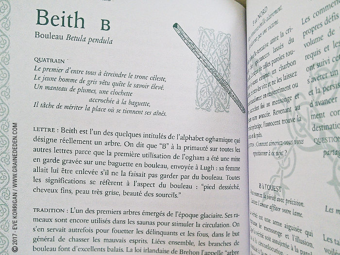 Bâtonnets Celtiques de Sagesse - Oracle Ogham de Caitlin Matthews - Graine d'Eden Développement personnel, spiritualité, tarots et oracles divinatoires, Bibliothèques des Oracles, avis, présentation, review , revue