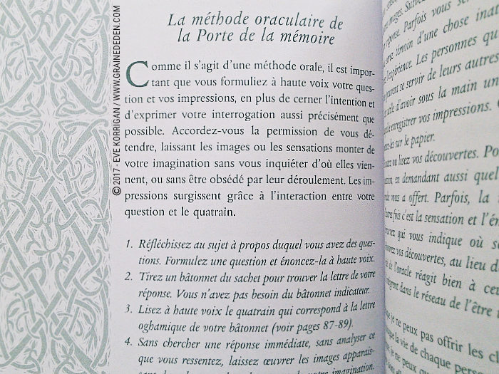 Bâtonnets Celtiques de Sagesse - Oracle Ogham de Caitlin Matthews - Graine d'Eden Développement personnel, spiritualité, tarots et oracles divinatoires, Bibliothèques des Oracles, avis, présentation, review , revue