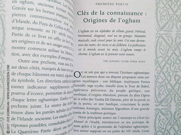 Bâtonnets Celtiques de Sagesse - Oracle Ogham de Caitlin Matthews - Graine d'Eden Développement personnel, spiritualité, tarots et oracles divinatoires, Bibliothèques des Oracles, avis, présentation, review , revue