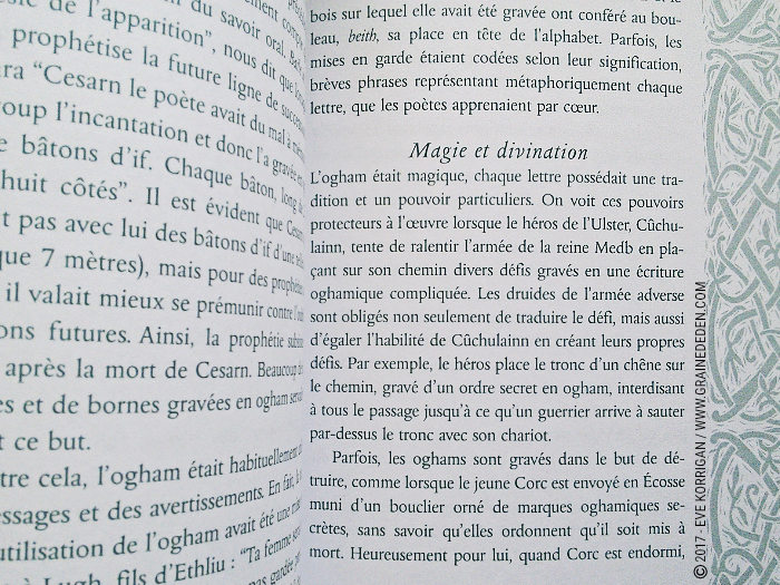 Bâtonnets Celtiques de Sagesse - Oracle Ogham de Caitlin Matthews - Graine d'Eden Développement personnel, spiritualité, tarots et oracles divinatoires, Bibliothèques des Oracles, avis, présentation, review , revue