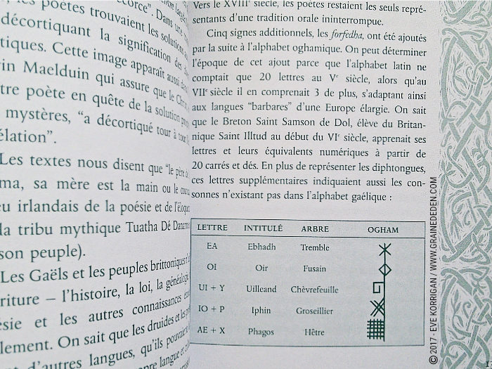 Bâtonnets Celtiques de Sagesse - Oracle Ogham de Caitlin Matthews - Graine d'Eden Développement personnel, spiritualité, tarots et oracles divinatoires, Bibliothèques des Oracles, avis, présentation, review , revue