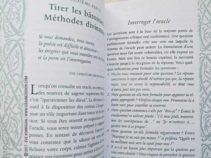 Bâtonnets Celtiques de Sagesse - Oracle Ogham de Caitlin Matthews - Graine d'Eden Développement personnel, spiritualité, tarots et oracles divinatoires, Bibliothèques des Oracles, avis, présentation, review , revue