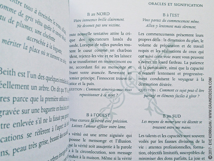 Bâtonnets Celtiques de Sagesse - Oracle Ogham de Caitlin Matthews - Graine d'Eden Développement personnel, spiritualité, tarots et oracles divinatoires, Bibliothèques des Oracles, avis, présentation, review , revue