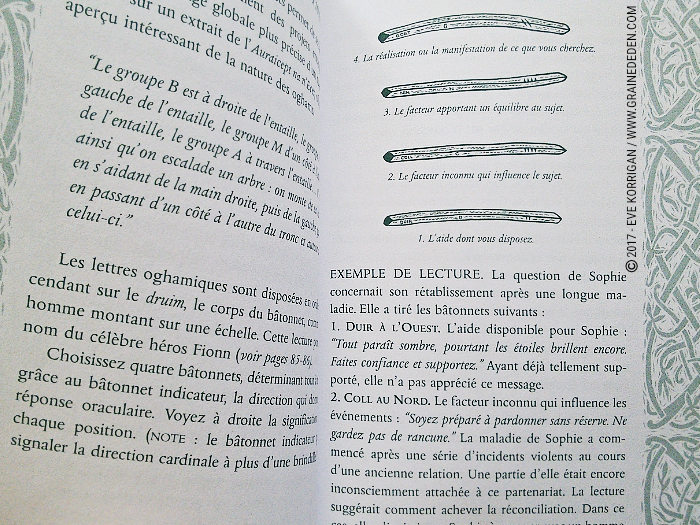 Bâtonnets Celtiques de Sagesse - Oracle Ogham de Caitlin Matthews - Graine d'Eden Développement personnel, spiritualité, tarots et oracles divinatoires, Bibliothèques des Oracles, avis, présentation, review , revue