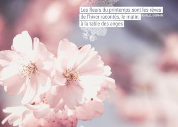 Les fleurs du printemps sont les rêves de l'hiver racontés, le matin, à la table des anges. - Khalil Gibran - Graine d'Eden Citation