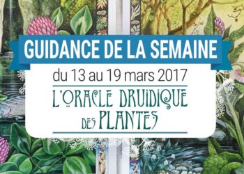 13 au 19 mars 2017 – Votre guidance de la semaine avec L'Oracle Druidique des Plantes de Philip et Stephanie Carr-Gomm - Graine d'Eden Tarots et Oracles divinatoires - avis, review, présentations