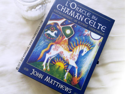 L'Oracle du Chaman Celte de John Matthews - Graine d'Eden Développement personnel, spiritualité, tarots et oracles divinatoires, Bibliothèques des Oracles, avis, présentation, review , revue