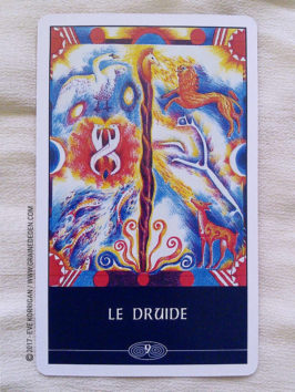 L'Oracle du Chaman Celte de John Matthews - Graine d'Eden Développement personnel, spiritualité, tarots et oracles divinatoires, Bibliothèques des Oracles, avis, présentation, review , revue
