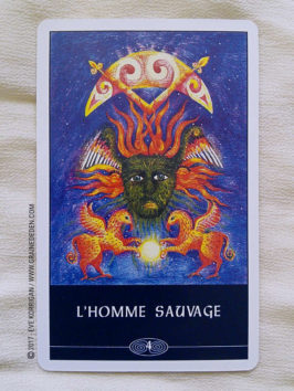 L'Oracle du Chaman Celte de John Matthews - Graine d'Eden Développement personnel, spiritualité, tarots et oracles divinatoires, Bibliothèques des Oracles, avis, présentation, review , revue