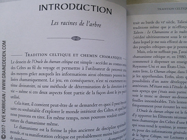 L'Oracle du Chaman Celte de John Matthews - Graine d'Eden Développement personnel, spiritualité, tarots et oracles divinatoires, Bibliothèques des Oracles, avis, présentation, review , revue