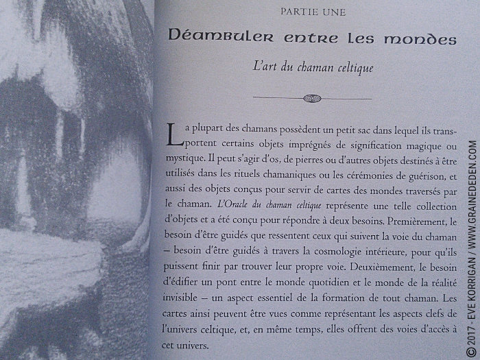 L'Oracle du Chaman Celte de John Matthews - Graine d'Eden Développement personnel, spiritualité, tarots et oracles divinatoires, Bibliothèques des Oracles, avis, présentation, review , revue