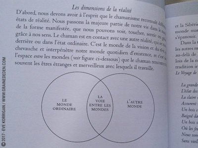 L'Oracle du Chaman Celte de John Matthews - Graine d'Eden Développement personnel, spiritualité, tarots et oracles divinatoires, Bibliothèques des Oracles, avis, présentation, review , revue