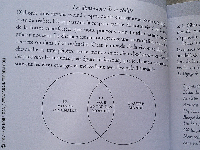 L'Oracle du Chaman Celte de John Matthews - Graine d'Eden Développement personnel, spiritualité, tarots et oracles divinatoires, Bibliothèques des Oracles, avis, présentation, review , revue