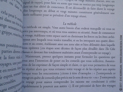 L'Oracle du Chaman Celte de John Matthews - Graine d'Eden Développement personnel, spiritualité, tarots et oracles divinatoires, Bibliothèques des Oracles, avis, présentation, review , revue