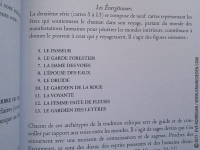 L'Oracle du Chaman Celte de John Matthews - Graine d'Eden Développement personnel, spiritualité, tarots et oracles divinatoires, Bibliothèques des Oracles, avis, présentation, review , revue