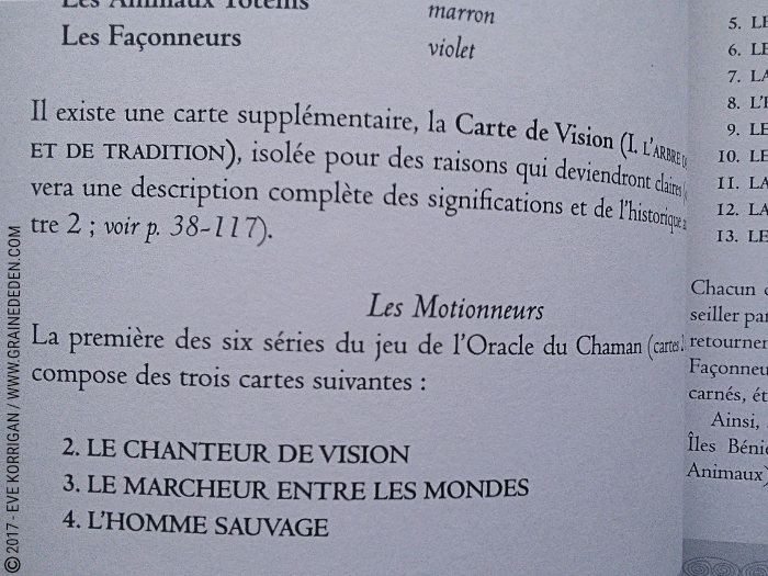 L'Oracle du Chaman Celte de John Matthews - Graine d'Eden Développement personnel, spiritualité, tarots et oracles divinatoires, Bibliothèques des Oracles, avis, présentation, review , revue