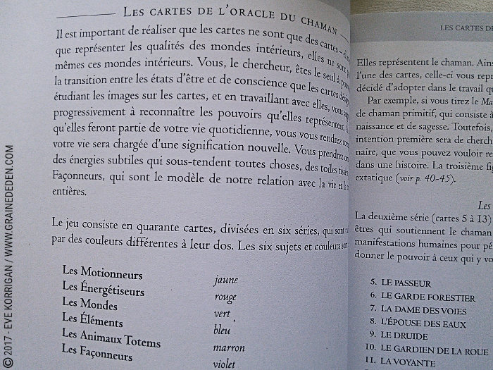 L'Oracle du Chaman Celte de John Matthews - Graine d'Eden Développement personnel, spiritualité, tarots et oracles divinatoires, Bibliothèques des Oracles, avis, présentation, review , revue