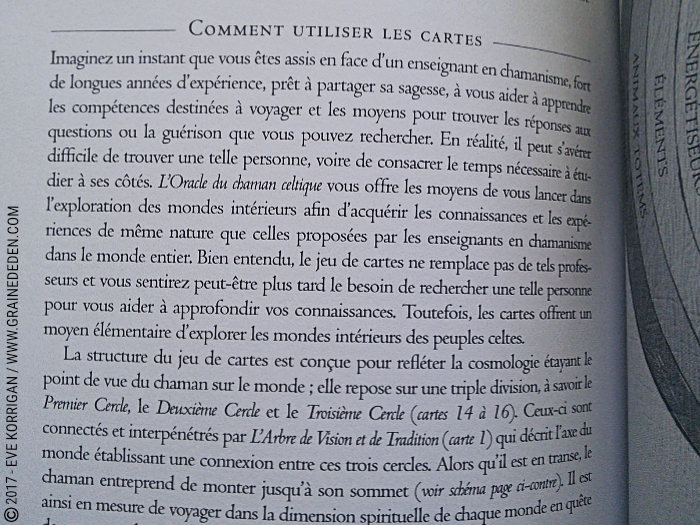 L'Oracle du Chaman Celte de John Matthews - Graine d'Eden Développement personnel, spiritualité, tarots et oracles divinatoires, Bibliothèques des Oracles, avis, présentation, review , revue