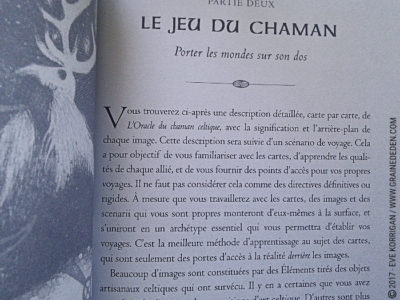 L'Oracle du Chaman Celte de John Matthews - Graine d'Eden Développement personnel, spiritualité, tarots et oracles divinatoires, Bibliothèques des Oracles, avis, présentation, review , revue