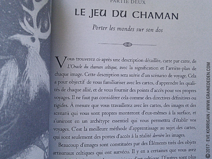 L'Oracle du Chaman Celte de John Matthews - Graine d'Eden Développement personnel, spiritualité, tarots et oracles divinatoires, Bibliothèques des Oracles, avis, présentation, review , revue