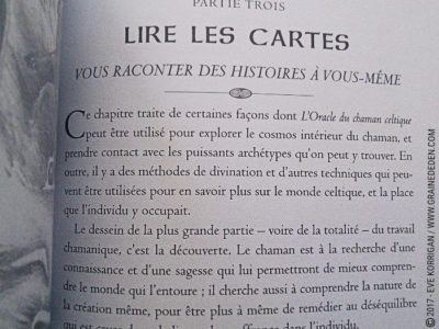 L'Oracle du Chaman Celte de John Matthews - Graine d'Eden Développement personnel, spiritualité, tarots et oracles divinatoires, Bibliothèques des Oracles, avis, présentation, review , revue