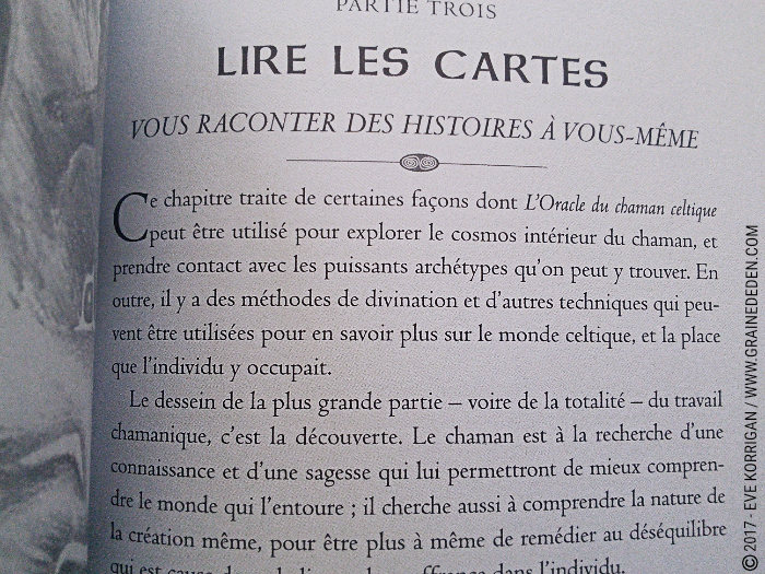 L'Oracle du Chaman Celte de John Matthews - Graine d'Eden Développement personnel, spiritualité, tarots et oracles divinatoires, Bibliothèques des Oracles, avis, présentation, review , revue