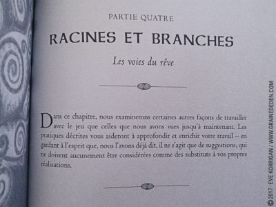 L'Oracle du Chaman Celte de John Matthews - Graine d'Eden Développement personnel, spiritualité, tarots et oracles divinatoires, Bibliothèques des Oracles, avis, présentation, review , revue