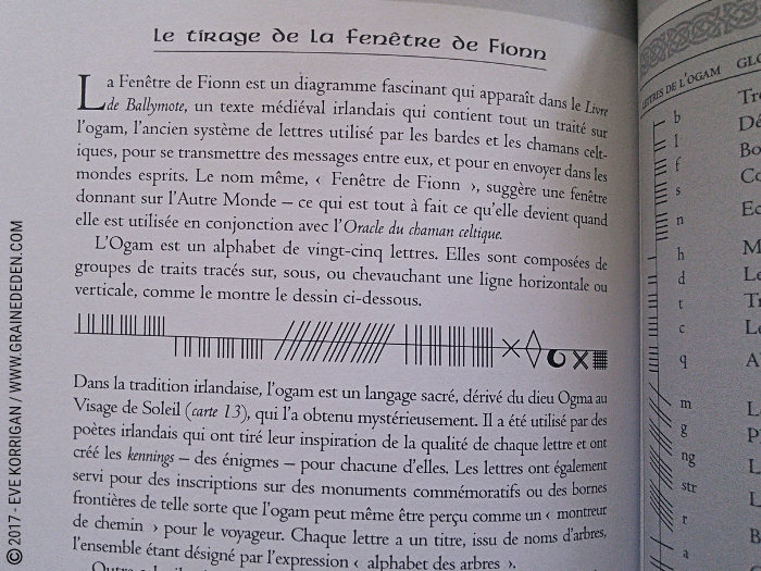 L'Oracle du Chaman Celte de John Matthews - Graine d'Eden Développement personnel, spiritualité, tarots et oracles divinatoires, Bibliothèques des Oracles, avis, présentation, review , revue