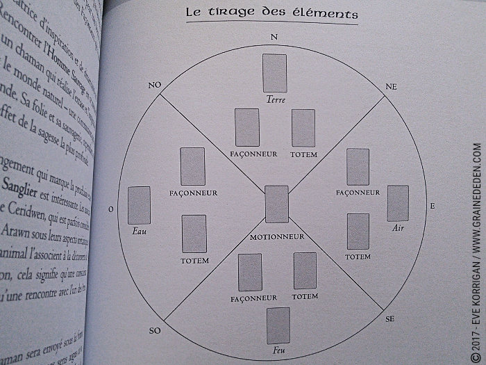 L'Oracle du Chaman Celte de John Matthews - Graine d'Eden Développement personnel, spiritualité, tarots et oracles divinatoires, Bibliothèques des Oracles, avis, présentation, review , revue