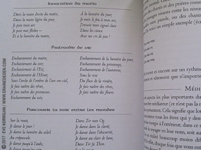 L'Oracle du Chaman Celte de John Matthews - Graine d'Eden Développement personnel, spiritualité, tarots et oracles divinatoires, Bibliothèques des Oracles, avis, présentation, review , revue