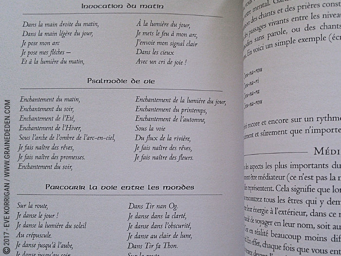 L'Oracle du Chaman Celte de John Matthews - Graine d'Eden Développement personnel, spiritualité, tarots et oracles divinatoires, Bibliothèques des Oracles, avis, présentation, review , revue