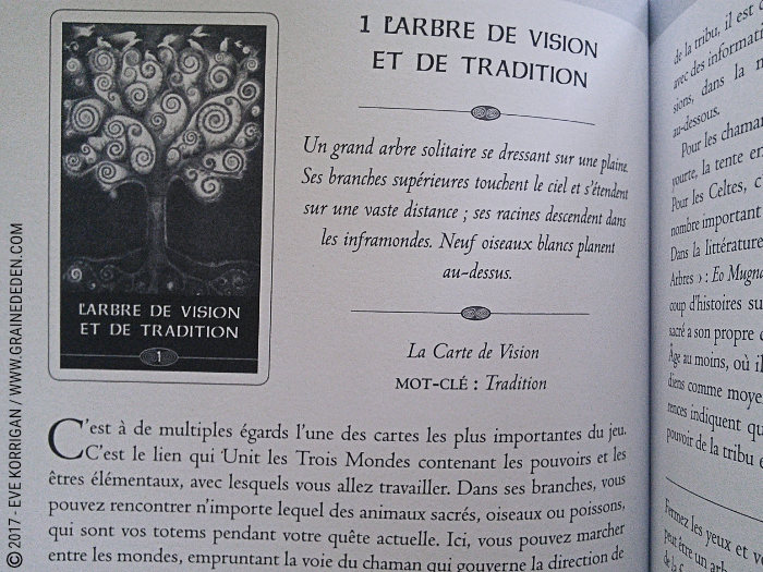 L'Oracle du Chaman Celte de John Matthews - Graine d'Eden Développement personnel, spiritualité, tarots et oracles divinatoires, Bibliothèques des Oracles, avis, présentation, review , revue