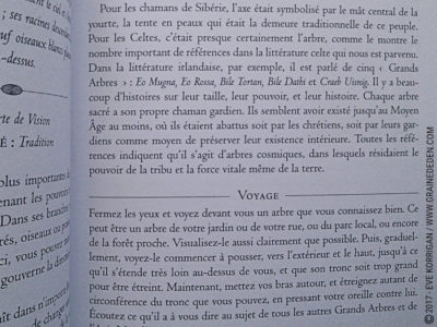 L'Oracle du Chaman Celte de John Matthews - Graine d'Eden Développement personnel, spiritualité, tarots et oracles divinatoires, Bibliothèques des Oracles, avis, présentation, review , revue