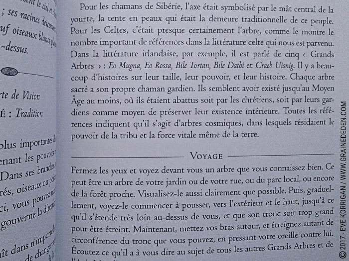 L'Oracle du Chaman Celte de John Matthews - Graine d'Eden Développement personnel, spiritualité, tarots et oracles divinatoires, Bibliothèques des Oracles, avis, présentation, review , revue