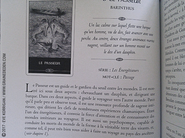 L'Oracle du Chaman Celte de John Matthews - Graine d'Eden Développement personnel, spiritualité, tarots et oracles divinatoires, Bibliothèques des Oracles, avis, présentation, review , revue