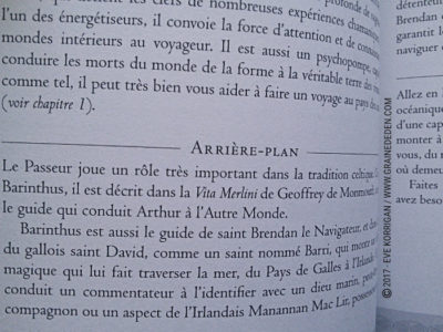 L'Oracle du Chaman Celte de John Matthews - Graine d'Eden Développement personnel, spiritualité, tarots et oracles divinatoires, Bibliothèques des Oracles, avis, présentation, review , revue