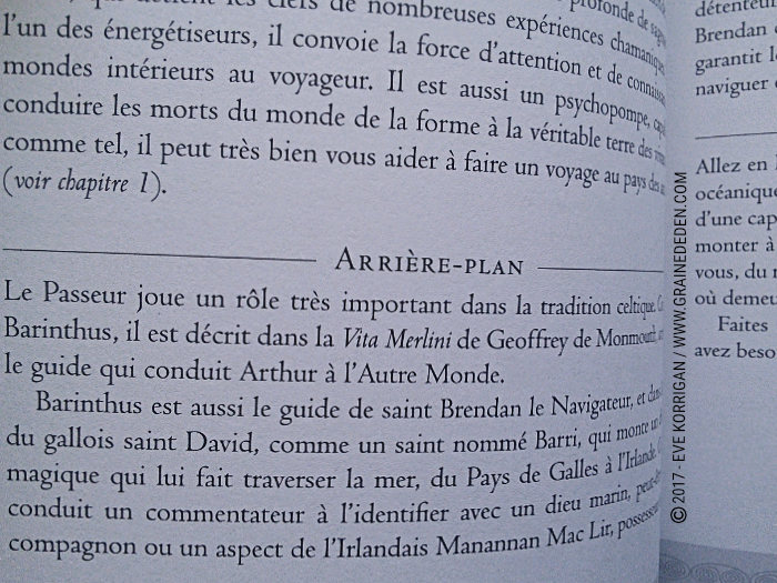 L'Oracle du Chaman Celte de John Matthews - Graine d'Eden Développement personnel, spiritualité, tarots et oracles divinatoires, Bibliothèques des Oracles, avis, présentation, review , revue