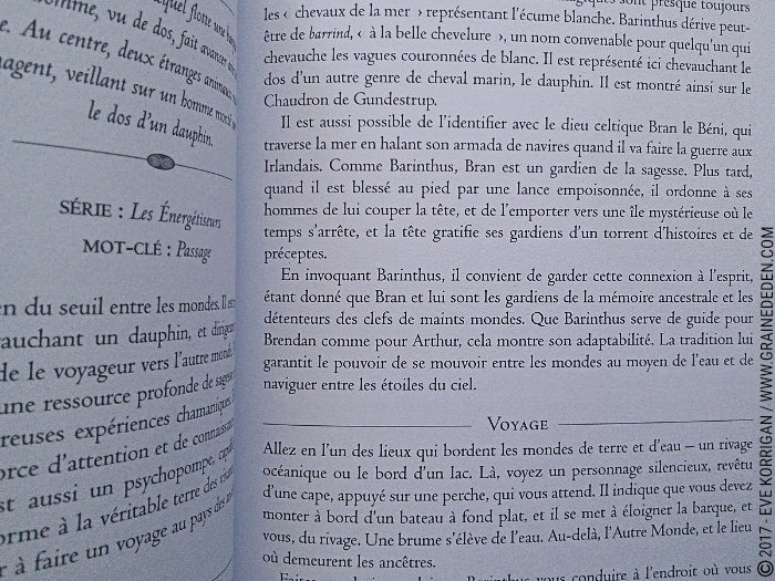 L'Oracle du Chaman Celte de John Matthews - Graine d'Eden Développement personnel, spiritualité, tarots et oracles divinatoires, Bibliothèques des Oracles, avis, présentation, review , revue