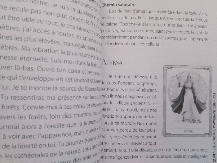 Les cartes Oracle Les Forces de la Féminité de Christine Arana Fader - Découvrez ce jeu dans la Bibliothèque des cartes Oracles divinatoires. Graine d'Eden - Fiche de La bibliothèque des Tarots divinatoires. Présentation et images.. Graine d'Eden - Fiche de La bibliothèque des Oracles. Présentation et images.. Graine d'Eden - Fiche de La bibliothèque des Oracles. Présentation et images. Graine d'Eden - Fiche de La bibliothèque des Oracles. Présentation et images. - Graine d'Eden Développement personnel, spiritualité, tarots et oracles divinatoires, Bibliothèques des Oracles, avis, présentation, review , revue