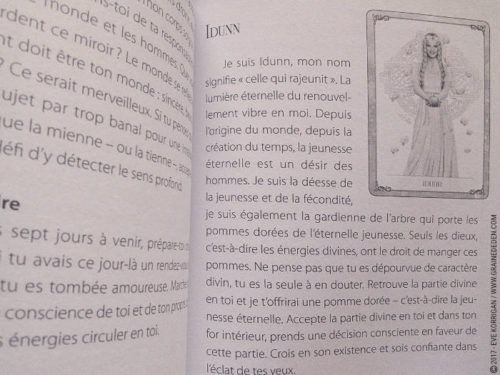 Les cartes Oracle Les Forces de la Féminité de Christine Arana Fader - Découvrez ce jeu dans la Bibliothèque des cartes Oracles divinatoires. Graine d'Eden - Fiche de La bibliothèque des Tarots divinatoires. Présentation et images.. Graine d'Eden - Fiche de La bibliothèque des Oracles. Présentation et images.. Graine d'Eden - Fiche de La bibliothèque des Oracles. Présentation et images. Graine d'Eden - Fiche de La bibliothèque des Oracles. Présentation et images. - Graine d'Eden Développement personnel, spiritualité, tarots et oracles divinatoires, Bibliothèques des Oracles, avis, présentation, review , revue