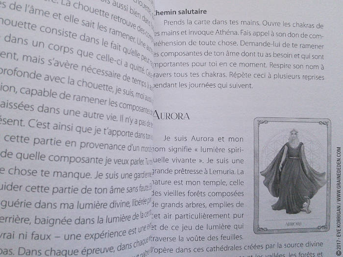 Les cartes Oracle Les Forces de la Féminité de Christine Arana Fader - Découvrez ce jeu dans la Bibliothèque des cartes Oracles divinatoires. Graine d'Eden - Fiche de La bibliothèque des Tarots divinatoires. Présentation et images.. Graine d'Eden - Fiche de La bibliothèque des Oracles. Présentation et images.. Graine d'Eden - Fiche de La bibliothèque des Oracles. Présentation et images. Graine d'Eden - Fiche de La bibliothèque des Oracles. Présentation et images. - Graine d'Eden Développement personnel, spiritualité, tarots et oracles divinatoires, Bibliothèques des Oracles, avis, présentation, review , revue