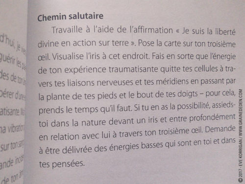 Les cartes Oracle Les Forces de la Féminité de Christine Arana Fader - Découvrez ce jeu dans la Bibliothèque des cartes Oracles divinatoires. Graine d'Eden - Fiche de La bibliothèque des Tarots divinatoires. Présentation et images.. Graine d'Eden - Fiche de La bibliothèque des Oracles. Présentation et images.. Graine d'Eden - Fiche de La bibliothèque des Oracles. Présentation et images. Graine d'Eden - Fiche de La bibliothèque des Oracles. Présentation et images. - Graine d'Eden Développement personnel, spiritualité, tarots et oracles divinatoires, Bibliothèques des Oracles, avis, présentation, review , revue