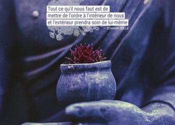 Tout ce qu'il nous faut est de mettre de l'ordre à l'intérieur de nous et l'extérieur prendra soin de lui-même. ECKHART TOLLE - Graine d'Eden Citation