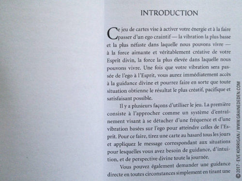 Les cartes Oracles La Sagesse du Fou de Sonia Choquette - Découvrez cet Oracle. Graine d'Eden - Fiche de La bibliothèque des Oracles. Présentation et images. Graine d'Eden - Fiche de La bibliothèque des Oracles. Présentation et images. - Graine d'Eden Développement personnel, spiritualité, tarots et oracles divinatoires, Bibliothèques des Oracles, avis, présentation, review , revue