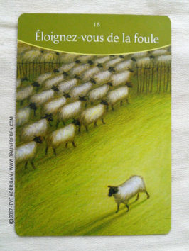 Les cartes Oracles La Sagesse du Fou de Sonia Choquette - Découvrez cet Oracle. Graine d'Eden - Fiche de La bibliothèque des Oracles. Présentation et images. Graine d'Eden - Fiche de La bibliothèque des Oracles. Présentation et images. - Graine d'Eden Développement personnel, spiritualité, tarots et oracles divinatoires, Bibliothèques des Oracles, avis, présentation, review , revue