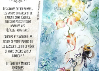 Le Tarot des Mondes Oniriques de Stephanie Pui-Mun Law et Barbara Moore - Graine d'Eden Développement personnel, spiritualité, tarots et oracles divinatoires, Bibliothèques des Oracles, avis, présentation, review