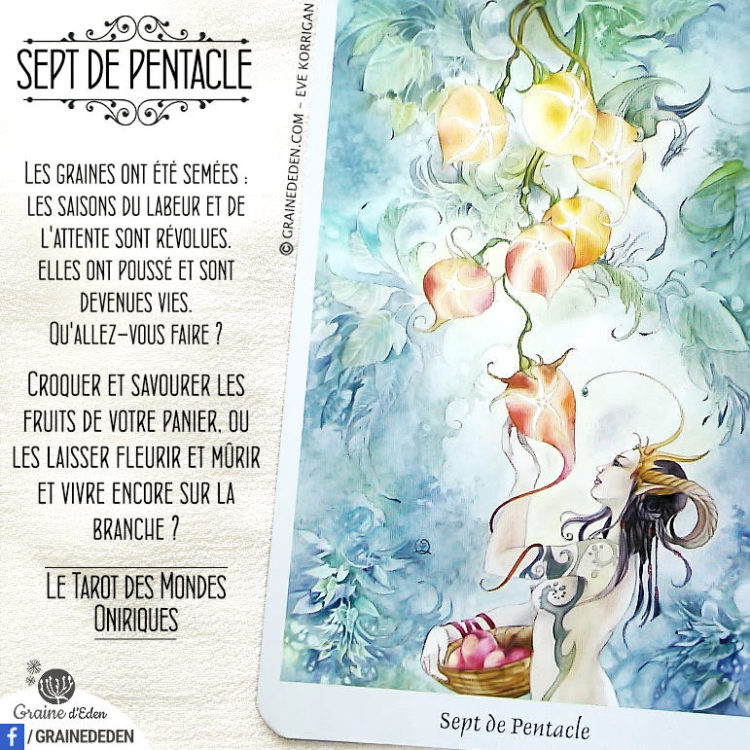 Le Tarot des Mondes Oniriques de Stephanie Pui-Mun Law et Barbara Moore - Graine d'Eden Développement personnel, spiritualité, tarots et oracles divinatoires, Bibliothèques des Oracles, avis, présentation, review