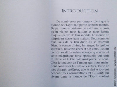 Messages de l'Esprit cartes Oracle de John Holland - Graine d'Eden Développement personnel, spiritualité, tarots et oracles divinatoires, Bibliothèques des Oracles, avis, présentation, review , revue