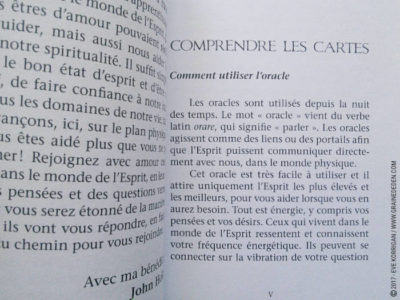 Messages de l'Esprit cartes Oracle de John Holland - Graine d'Eden Développement personnel, spiritualité, tarots et oracles divinatoires, Bibliothèques des Oracles, avis, présentation, review , revue